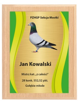 PG-H250