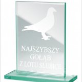 Trofea Szklane - wyprzedaż