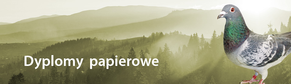 Dyplomy papierowe