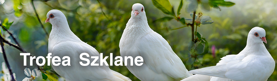 Statuetki szklane