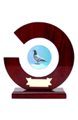 Trofea drewniane i patery