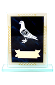 Trofea szklane